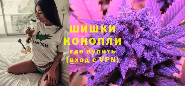 индика Белоозёрский