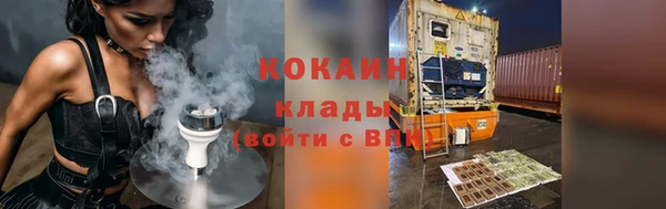 индика Белоозёрский