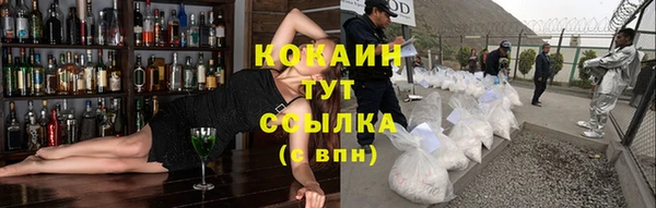 индика Белоозёрский